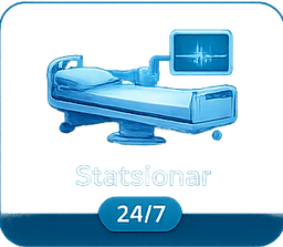 Statsionar